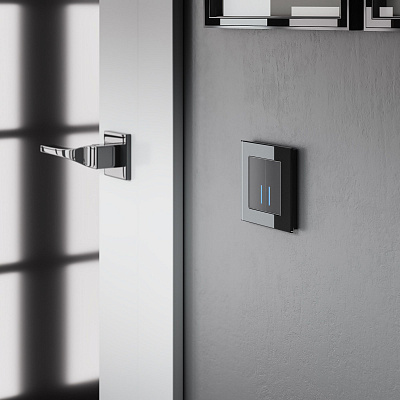 Сенсорный выключатель двухклавишный с Wi-Fi Werkel черный a048327