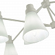 Потолочная люстра Evoluce Biane SLE103502-08