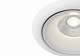 Встраиваемый светодиодный светильник Maytoni Zoom DL031-2-L8W