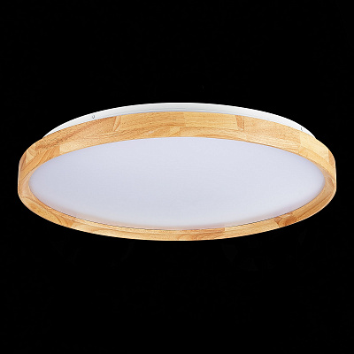 Потолочный светодиодный светильник Evoluce Delia SLE201382-01