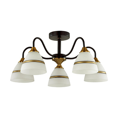 Люстра Lumion Nettie 5214/5C