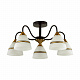 Люстра Lumion Nettie 5214/5C