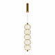 Подвесной светильник Maytoni Golden Cage MOD216PL-L10G3K