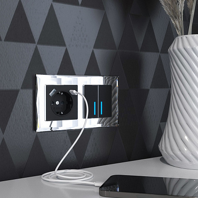 Розетка с заземлением и USB Werkel черный a056275