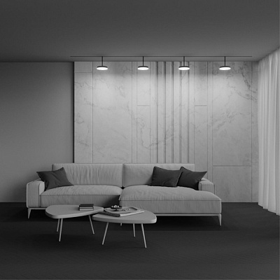 Магнитный трековый светильник Maytoni Plato TR131-4-15W-DS-B