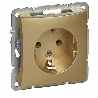 Розетка с заземлением шампань SE Duet WDE000443