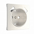 Накладка для USB розетки Werkel W1179513 перламутровая a051189