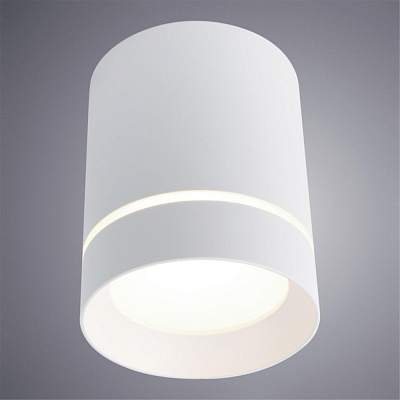 Потолочный светильник Arte Lamp Elle A1949PL-1WH