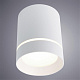 Потолочный светильник Arte Lamp Elle A1949PL-1WH