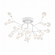 Потолочная люстра Freya Florencia FR5049CL-27W2