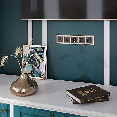 Накладка для USB розетки Werkel W1179512 бронза a051064