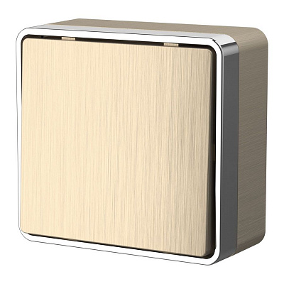 Переключатель одноклавишный проходной Werkel Gallant шампань рифленый a051041