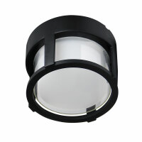 Уличный потолочный светильник Arte Lamp Ulysses A6206PF-1BK