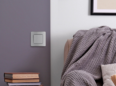 Выключатель одноклавишный алюминий Legrand Inspiria 673602