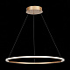 Люстра подвесная ST-Luce ST604 OUT ST604.243.34