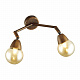 Спот Lumion Zianox 3596/2W