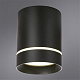 Потолочный светильник Arte Lamp Elle A1949PL-1BK