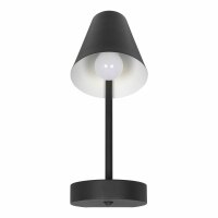 Настольная лампа Loft It Shelf 10216/1W Black
