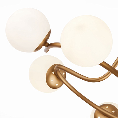 Люстра Evoluce Calabria SLE220602-06