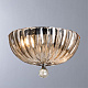 Потолочный светильник Divinare Lianto 4011/02 PL-2