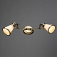 Спот Arte Lamp 81 A9231AP-2AB