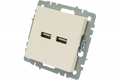 Розетка USB IEK Brite A+A 3,1А РЮ10-1-БрКр бежевый BR-U21-D31-K10