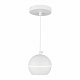 Подвесной светодиодный светильник Elektrostandard DLS023 9W 4200K белый a047774