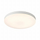 Потолочный светильник Sonex Gamma 7759/24L