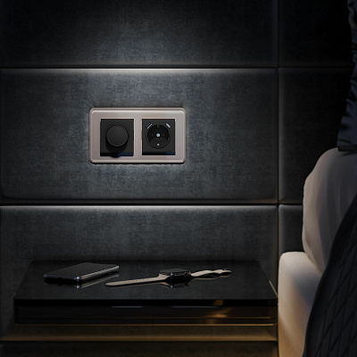 Розетка с заземлением и USB Werkel черный a056275