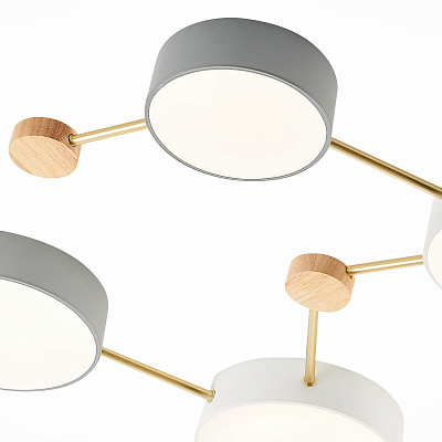 Потолочный светодиодный светильник Evoluce Dossena SLE600102-08