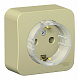 Розетка SE Blanca бежевый BLNRA110117