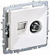 Розетка двойная TV+RJ45 IEK Brite кат.5E РТВ/РК12-БрБ белый BR-AK20-1-K01