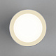Потолочный светодиодный светильник Elektrostandard DLR022 12W 4200K белый матовый a037524