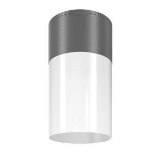 Потолочный светильник Maytoni Outdoor Willis O418CL-01GR