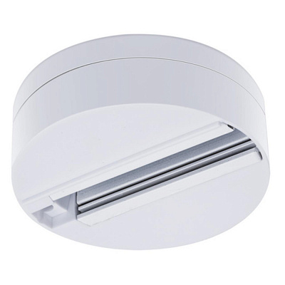 Шинопровод одноместный Arte Lamp 0.1м A510133