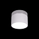 Потолочный светильник Loft It Photon 10179/7 White