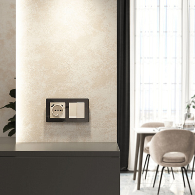 Розетка с заземлением и USB Werkel айвори акриловый a064131